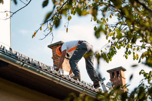Best Commercial Roofing Services  in Harrisburg, IL