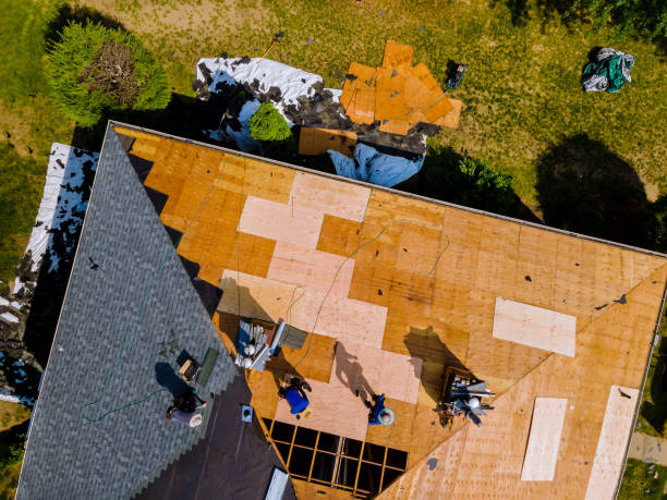 Best Roof Repair Specialists  in Harrisburg, IL