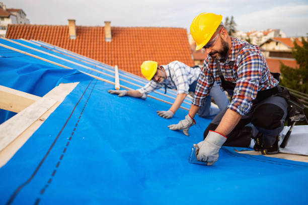Best Metal Roofing Contractor  in Harrisburg, IL